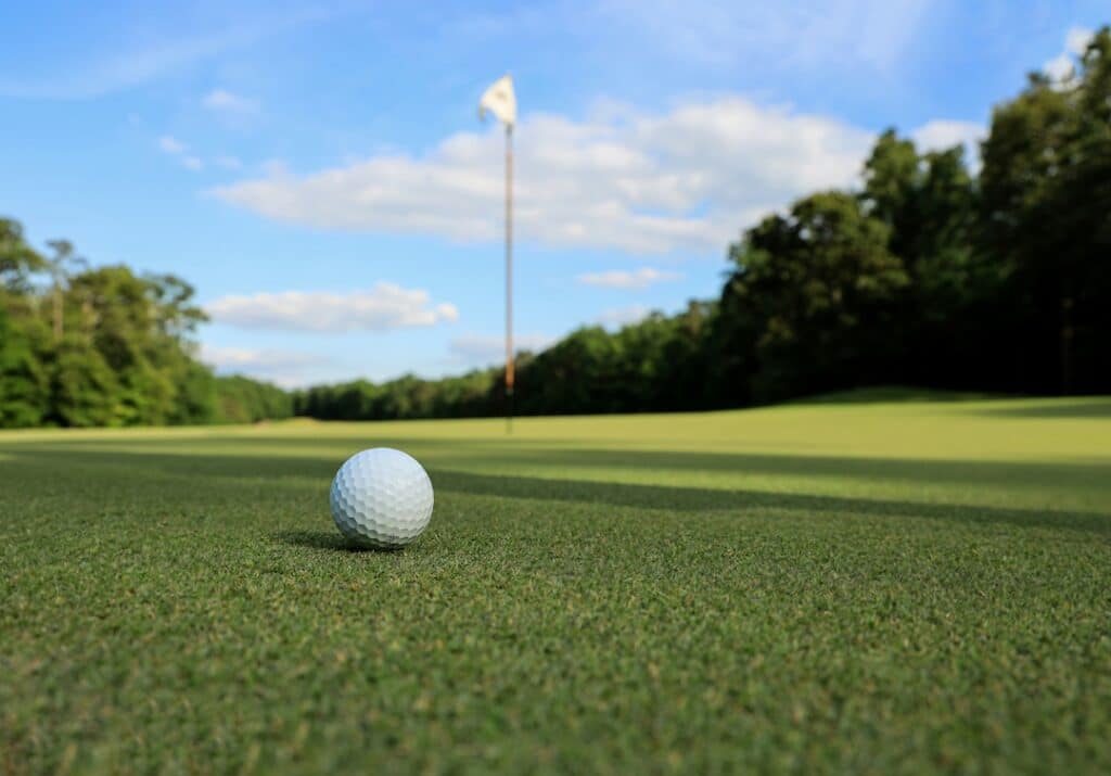 White golf ball sitting on the fringe of a beautiful green.